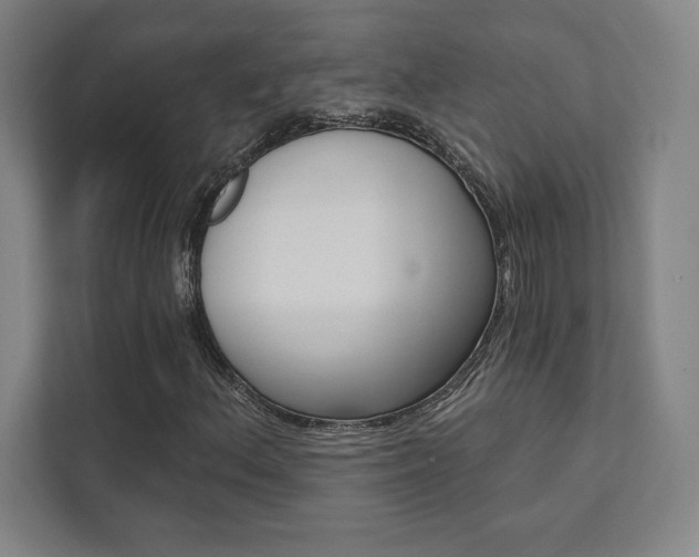 X0000112031156200908031016