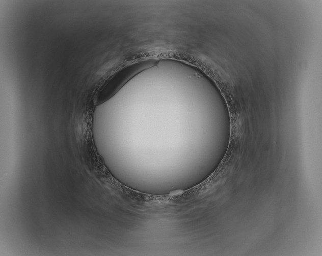 X0000112031157200908031016