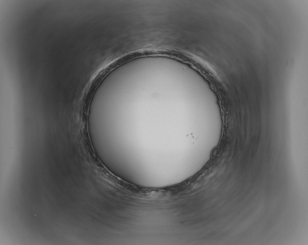 X0000112031160200908031016