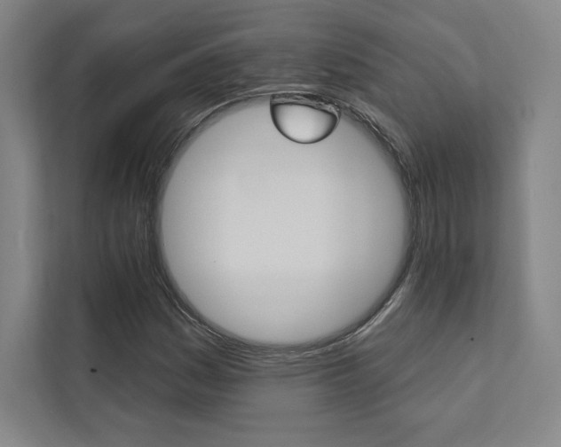 X0000112031161200908031016