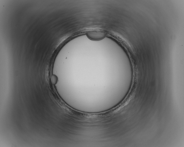 X0000112031162200908031016
