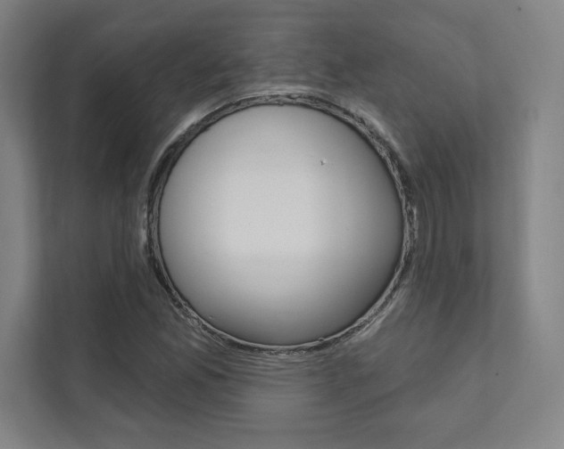X0000112031165200908031016