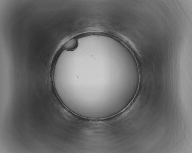 X0000112031168200908031016