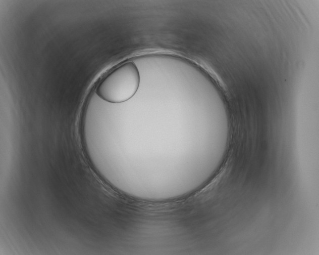 X0000112031173200908031016