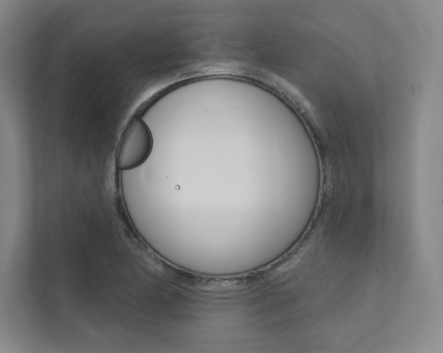 X0000112031174200908031016