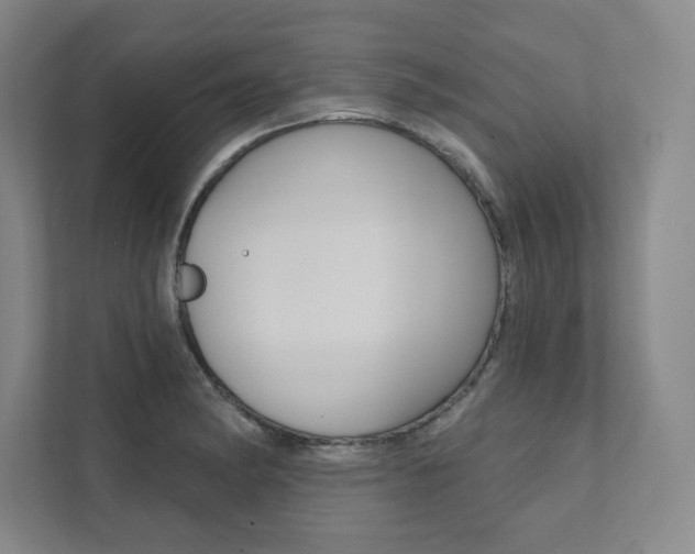 X0000112031182200908031016