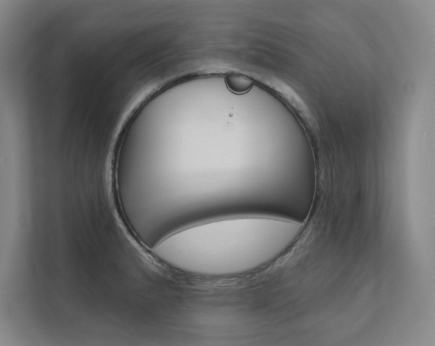 X0000112031183200908031016