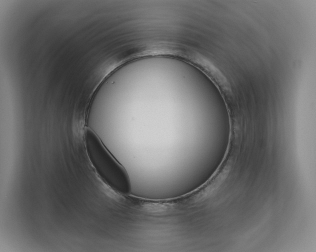 X0000112031185200908031016