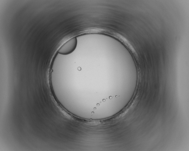 X0000112031186200908031016
