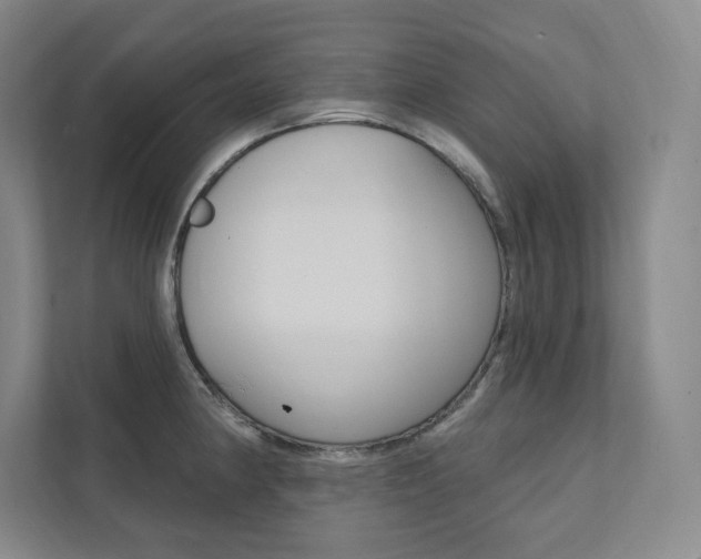 X0000112031190200908031016
