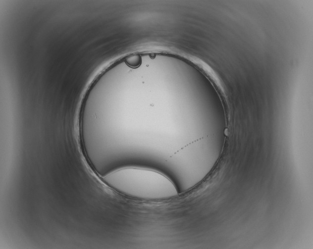 X0000112031191200908031016