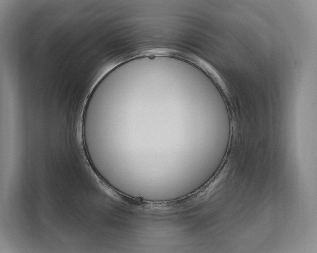 X0000112031194200908031016