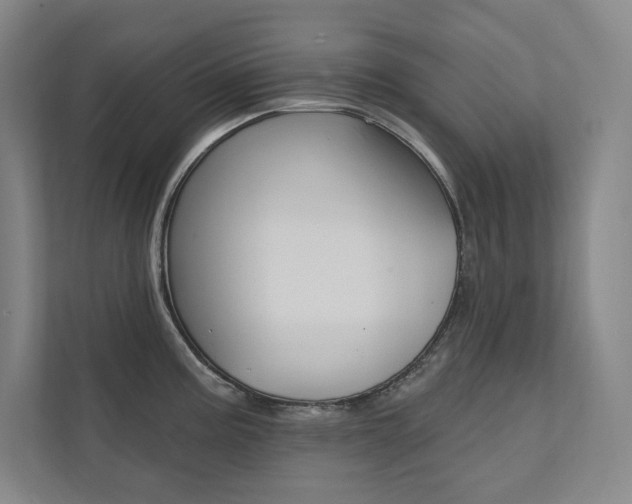 X0000112031195200908031016
