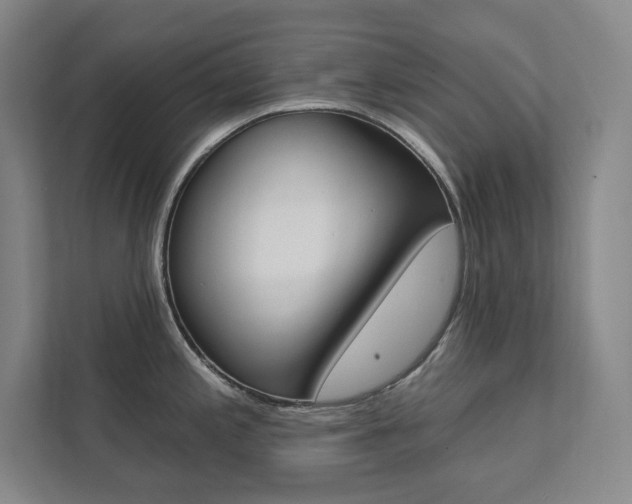 X0000112031197200908031016