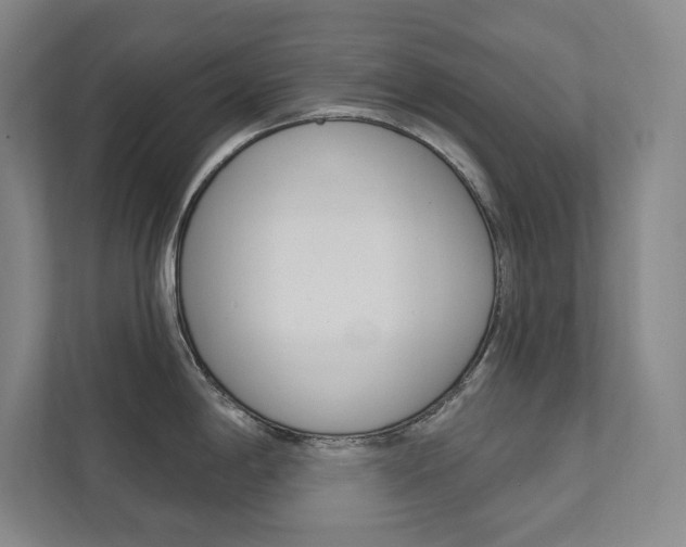 X0000112031198200908031016