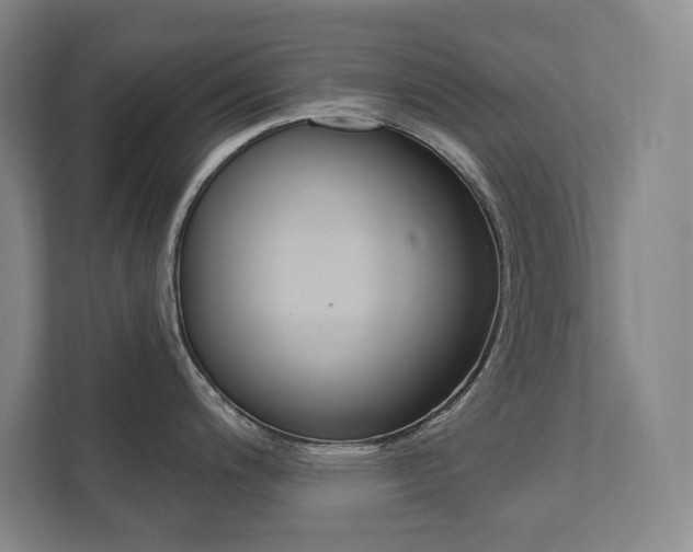 X0000112031200200908031016