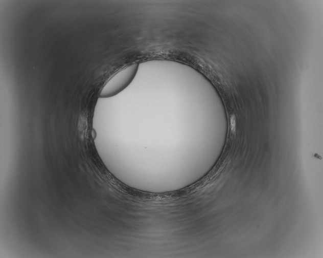 X0000112031203200908031015