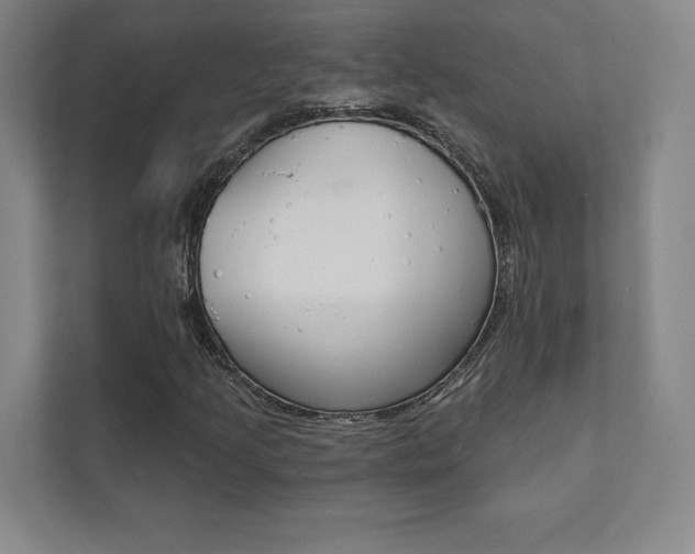 X0000112031205200908031015