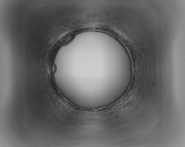 X0000112031206200908031015