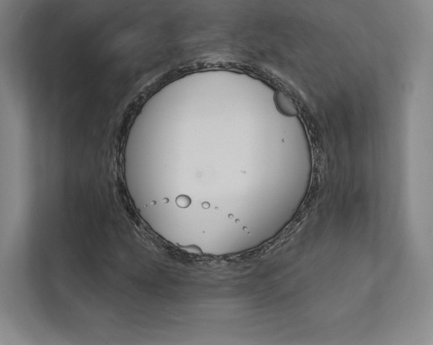 X0000112031207200908031015