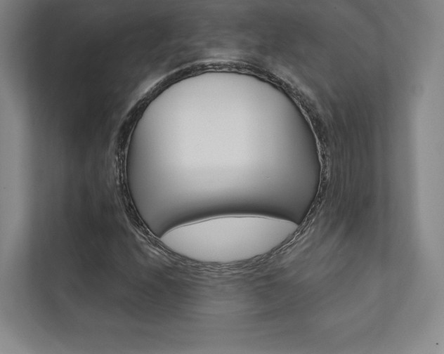 X0000112031208200908031015