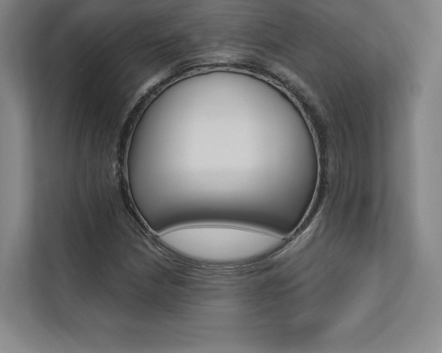 X0000112031210200908031015