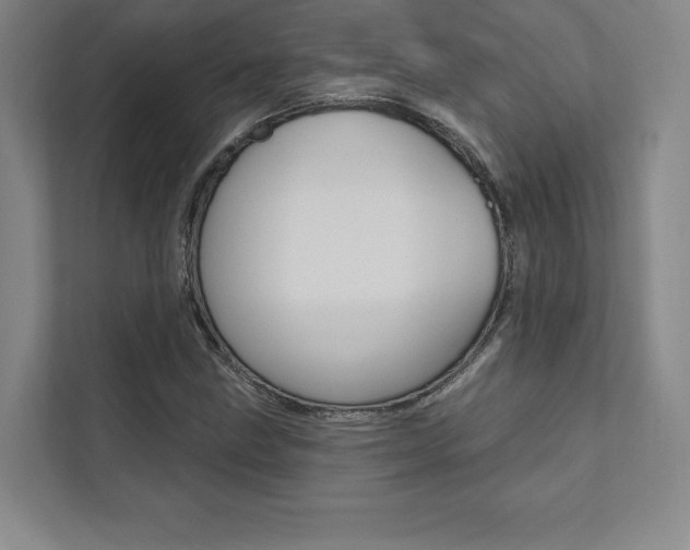 X0000112031211200908031015