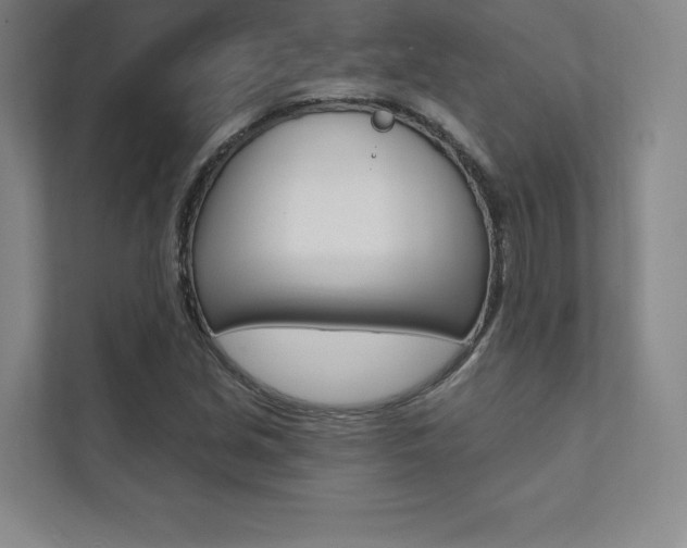 X0000112031213200908031015