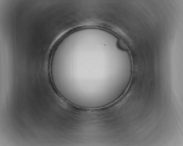 X0000112031216200908031015
