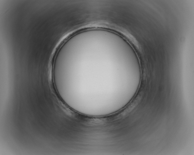 X0000112031224200908031015