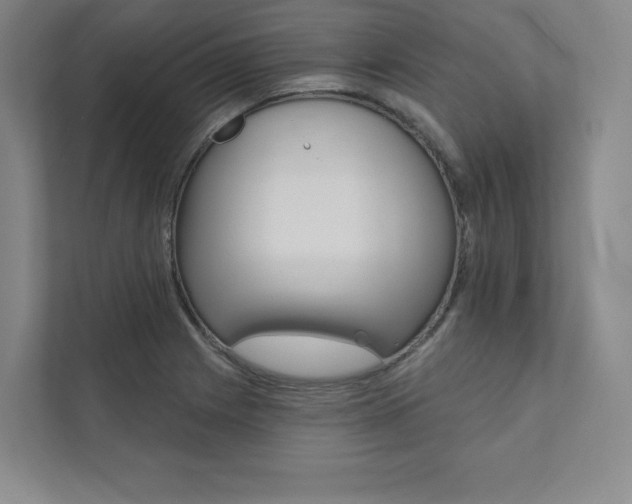 X0000112031225200908031015