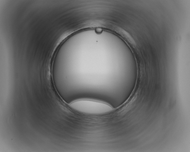 X0000112031226200908031015
