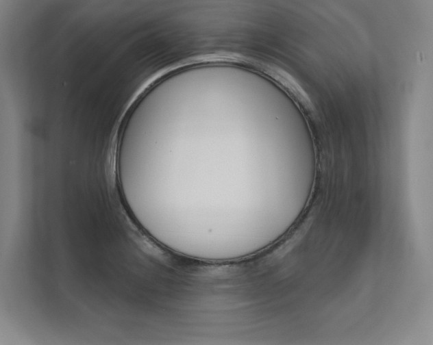 X0000112031228200908031015