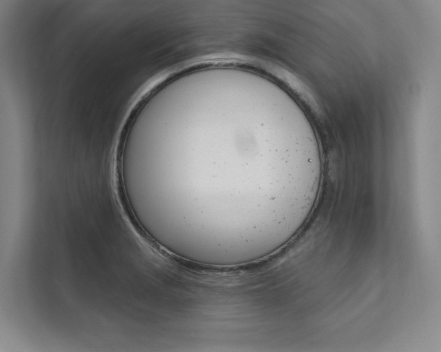 X0000112031229200908031016