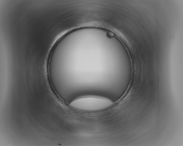 X0000112031230200908031016