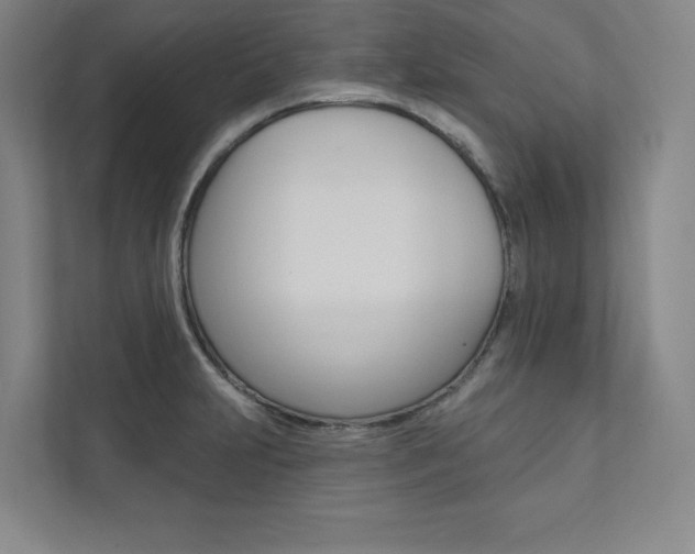 X0000112031231200908031016