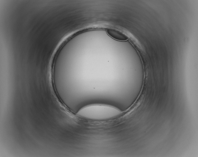 X0000112031232200908031016