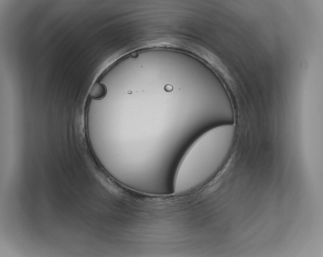 X0000112031234200908031016