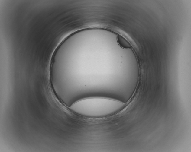 X0000112031236200908031016