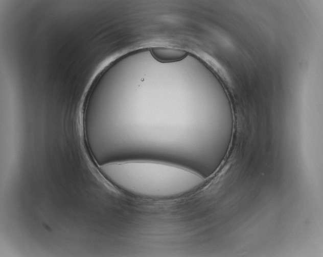 X0000112031238200908031016