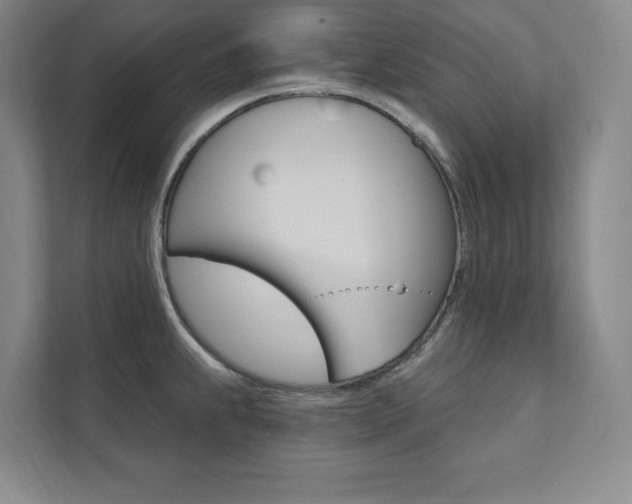 X0000112031239200908031016