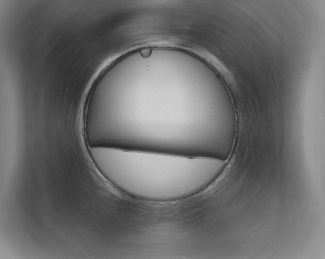 X0000112031240200908031016