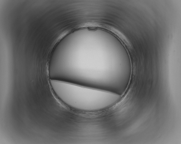 X0000112031241200908031016