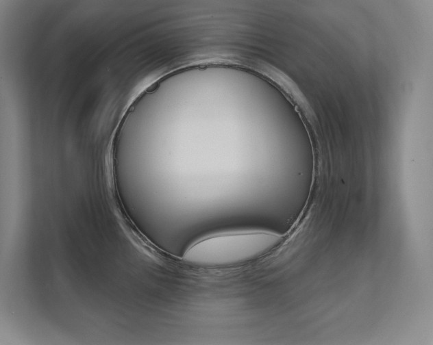 X0000112031242200908031016