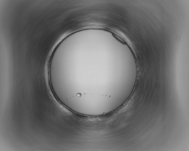 X0000112031243200908031016