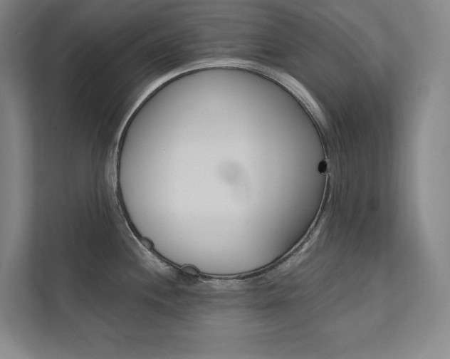 X0000112031244200908031016