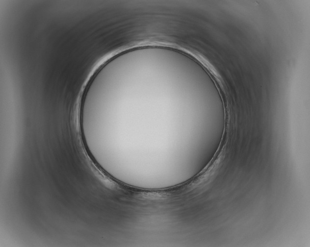 X0000112031246200908031016