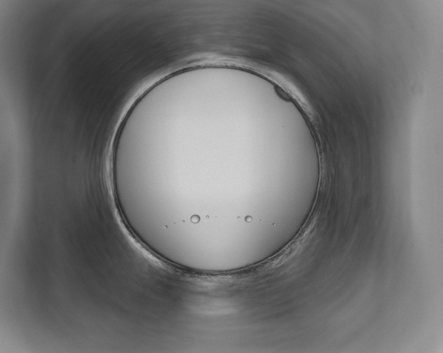 X0000112031247200908031016