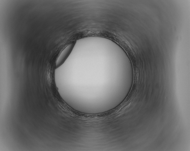 X0000112031250200908031015