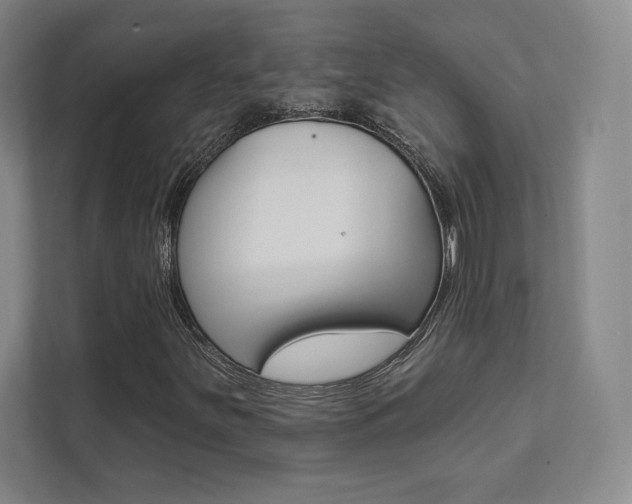 X0000112031251200908031015